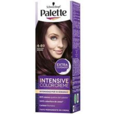 Imagen de Tinte PALETTE color cream borgoña intenso N.° 4-89