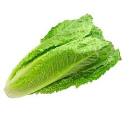 Imagen de Lechuga romana