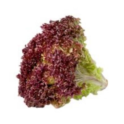 Imagen de Lechuga morada unidad