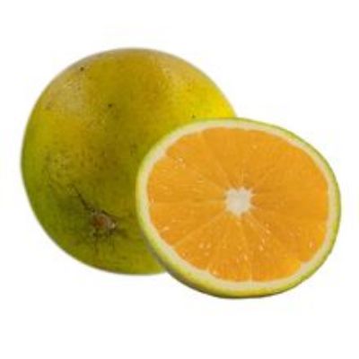 Imagen de Naranja valencia x500 g