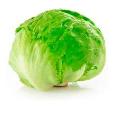 Imagen de Lechuga Batavia 1 und