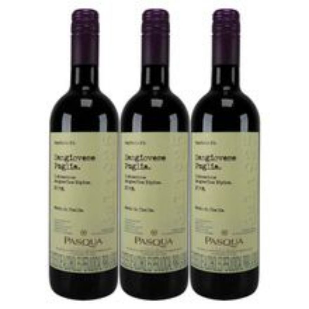 Imagen de Vino PASQUA sangiovese puglia tinto x750 ml c/u 2x3