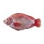 Imagen de Tilapia o mojarra SMN fresca