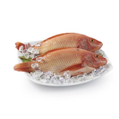 Imagen de Tilapia roja o mojarra roja  congelada
