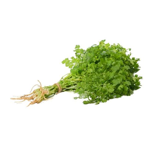Imagen de CILANTRO  100  gr
