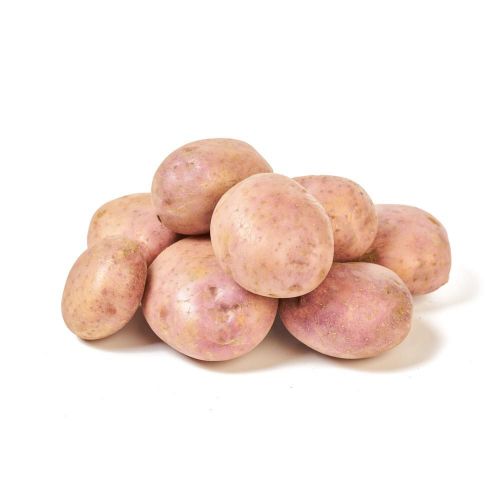 Imagen de PAPA PASTUSA EXITO MARCA PROPIA 3000  gr