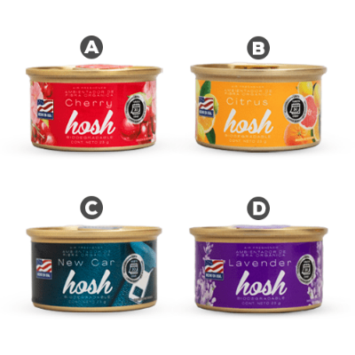 Imagen de AMBIENTADOR EN LATA HOSH 1 UND